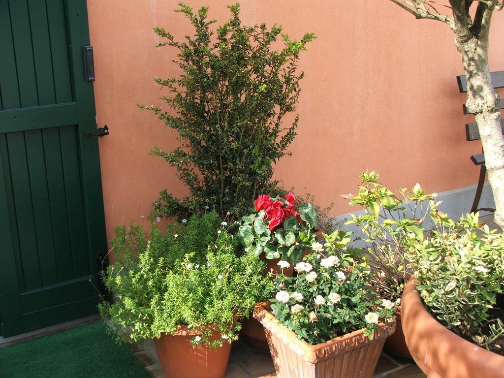 Locanda Belfiore Bolonia Zewnętrze zdjęcie